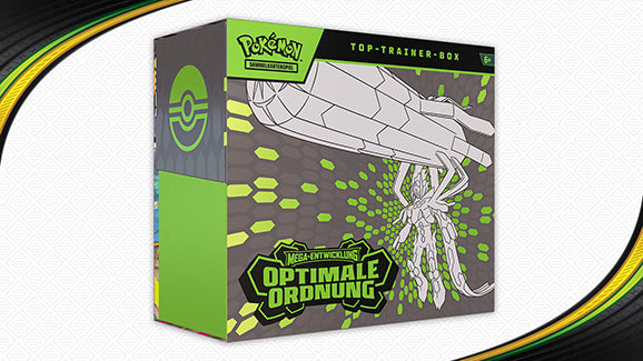 Top-Trainer-Box Optimale Ordnung